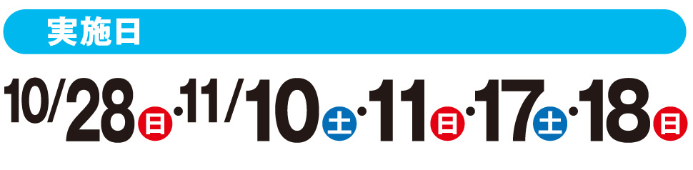 模試実施日：10/28、11/4,10,11